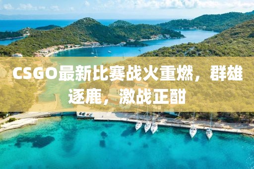 CSGO最新比赛战火重燃，群雄逐鹿，激战正酣