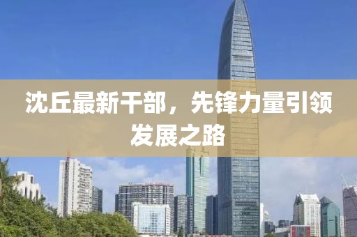 沈丘最新干部，先锋力量引领发展之路