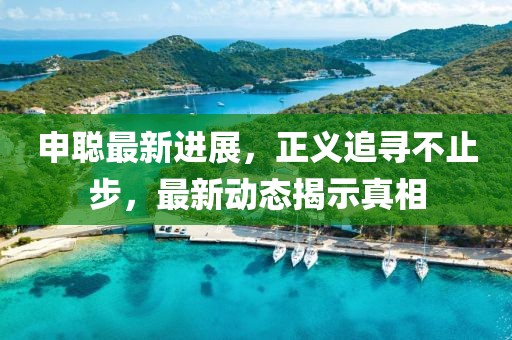 申聪最新进展，正义追寻不止步，最新动态揭示真相