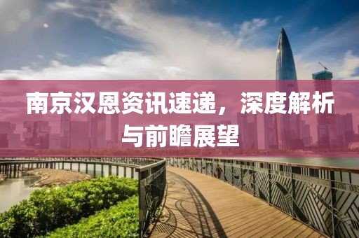 南京汉恩资讯速递，深度解析与前瞻展望