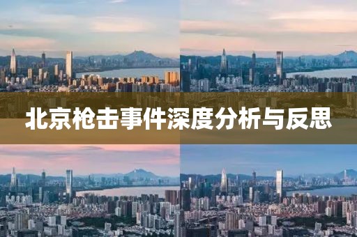北京枪击事件深度分析与反思