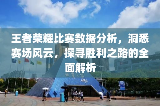 王者荣耀比赛数据分析，洞悉赛场风云，探寻胜利之路的全面解析