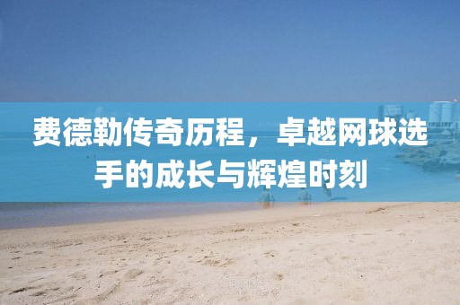 费德勒传奇历程，卓越网球选手的成长与辉煌时刻