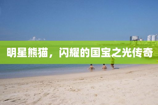 明星熊猫，闪耀的国宝之光传奇