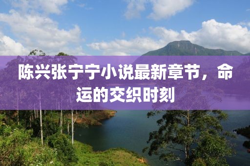 陈兴张宁宁小说最新章节，命运的交织时刻