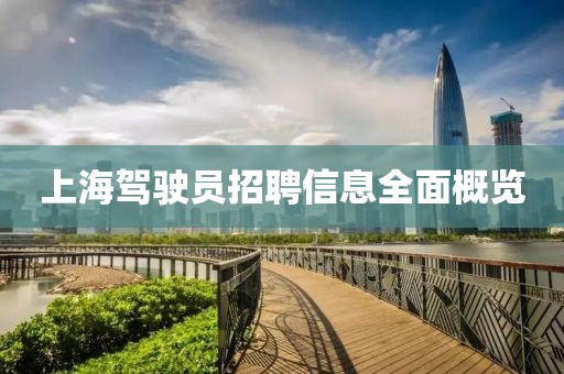 上海驾驶员招聘信息全面概览