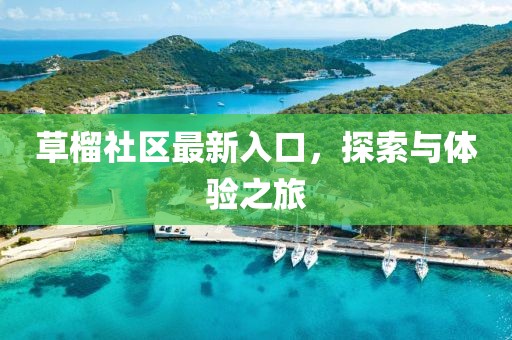 草榴社区最新入口，探索与体验之旅
