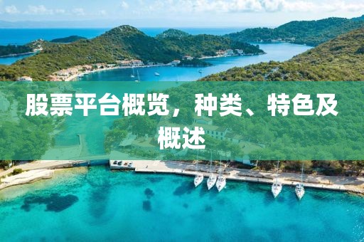 股票平台概览，种类、特色及概述