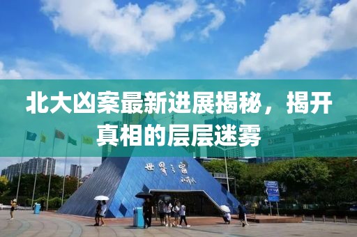 北大凶案最新进展揭秘，揭开真相的层层迷雾