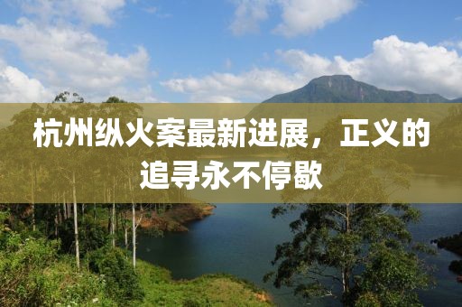 杭州纵火案最新进展，正义的追寻永不停歇