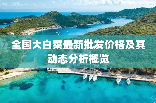 全国大白菜最新批发价格及其动态分析概览