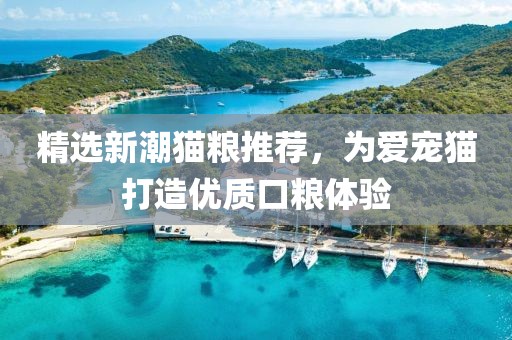 精选新潮猫粮推荐，为爱宠猫打造优质口粮体验
