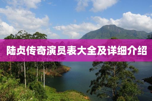 陆贞传奇演员表大全及详细介绍