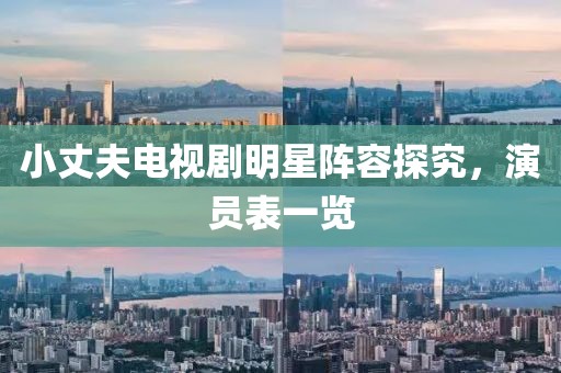 小丈夫电视剧明星阵容探究，演员表一览