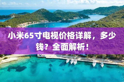 小米65寸电视价格详解，多少钱？全面解析！