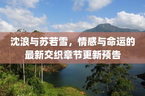 沈浪与苏若雪，情感与命运的最新交织章节更新预告