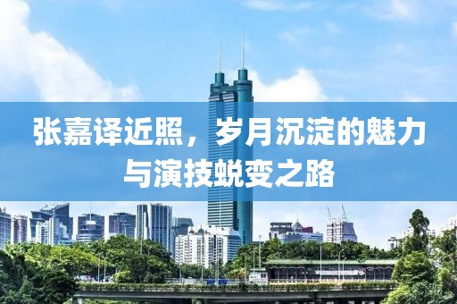张嘉译近照，岁月沉淀的魅力与演技蜕变之路