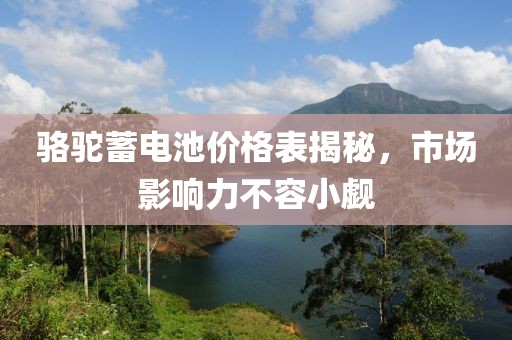 骆驼蓄电池价格表揭秘，市场影响力不容小觑