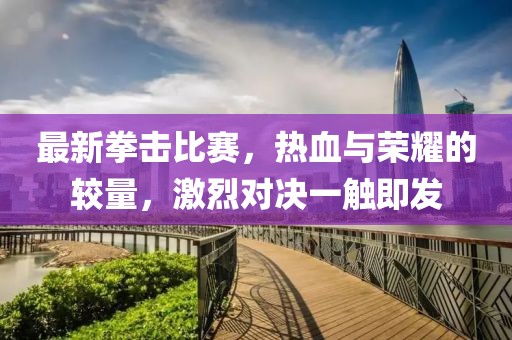 最新拳击比赛，热血与荣耀的较量，激烈对决一触即发