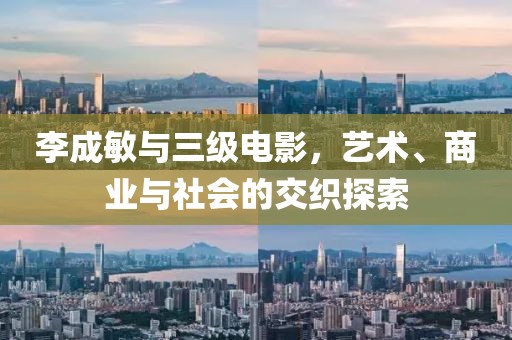 李成敏与三级电影，艺术、商业与社会的交织探索
