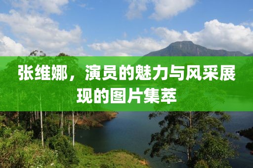 张维娜，演员的魅力与风采展现的图片集萃