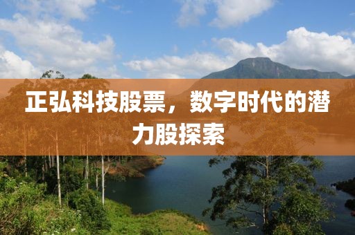 正弘科技股票，数字时代的潜力股探索