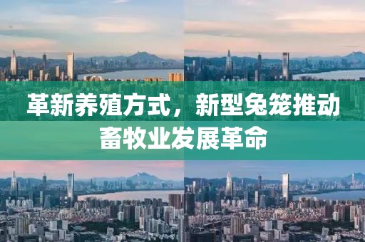 革新养殖方式，新型兔笼推动畜牧业发展革命