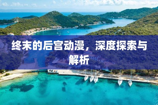 终末的后宫动漫，深度探索与解析