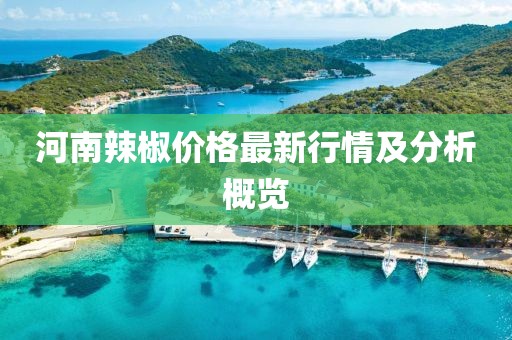 河南辣椒价格最新行情及分析概览