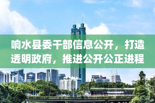 响水县委干部信息公开，打造透明政府，推进公开公正进程