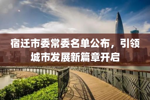 2025年3月17日 第17页