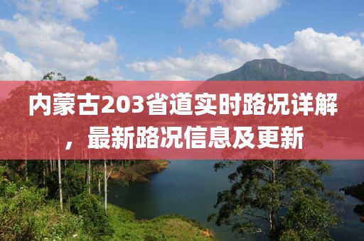 内蒙古203省道实时路况详解，最新路况信息及更新