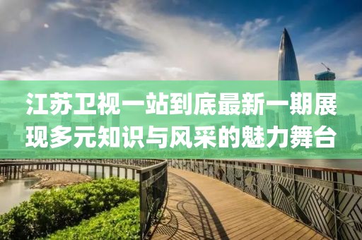 江苏卫视一站到底最新一期展现多元知识与风采的魅力舞台