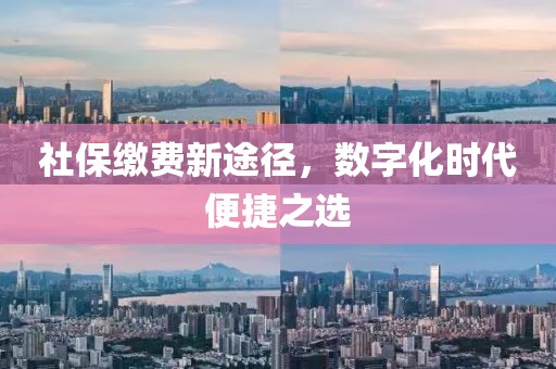 社保缴费新途径，数字化时代便捷之选