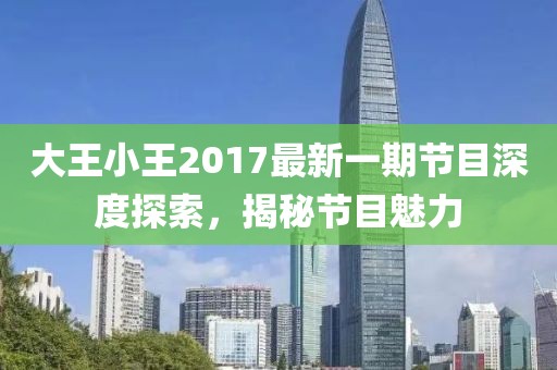 大王小王2017最新一期节目深度探索，揭秘节目魅力