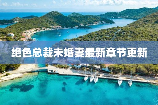 绝色总裁未婚妻最新章节更新