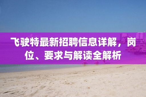飞驶特最新招聘信息详解，岗位、要求与解读全解析