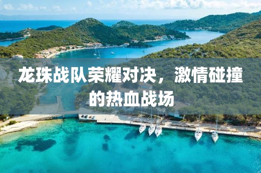 龙珠战队荣耀对决，激情碰撞的热血战场