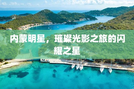 内蒙明星，璀璨光影之旅的闪耀之星