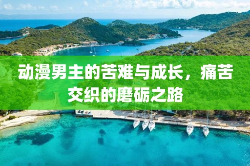 动漫男主的苦难与成长，痛苦交织的磨砺之路