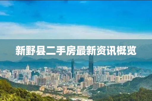 新野县二手房最新资讯概览