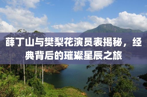 薛丁山与樊梨花演员表揭秘，经典背后的璀璨星辰之旅