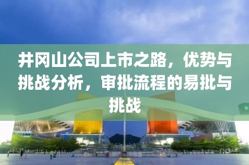 井冈山公司上市之路，优势与挑战分析，审批流程的易批与挑战