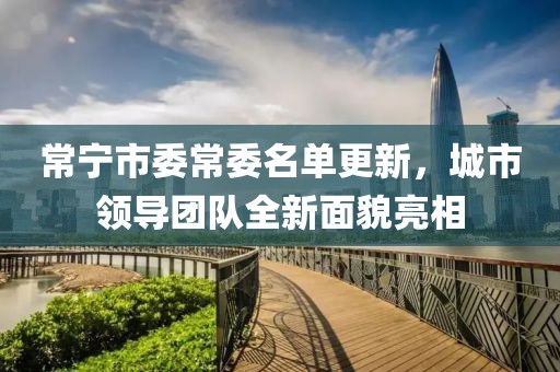 伱是莪致命的伤 第6页