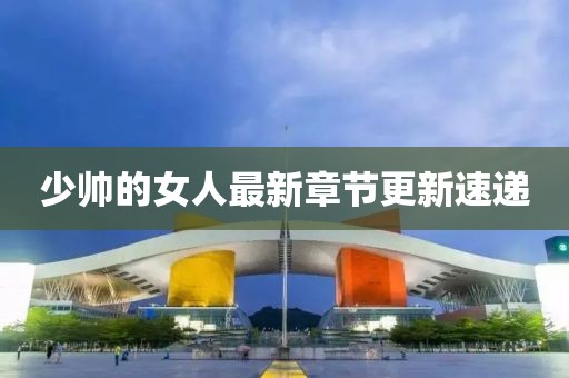 少帅的女人最新章节更新速递