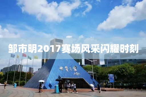 邹市明2017赛场风采闪耀时刻