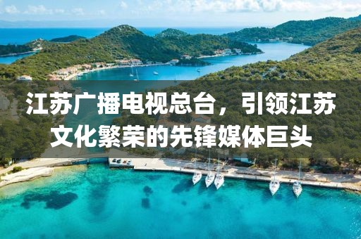 江苏广播电视总台，引领江苏文化繁荣的先锋媒体巨头