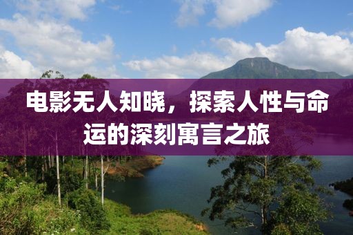 电影无人知晓，探索人性与命运的深刻寓言之旅