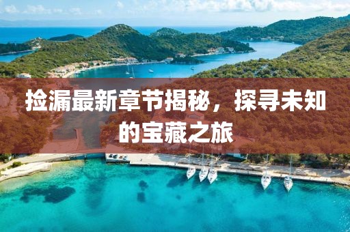 捡漏最新章节揭秘，探寻未知的宝藏之旅