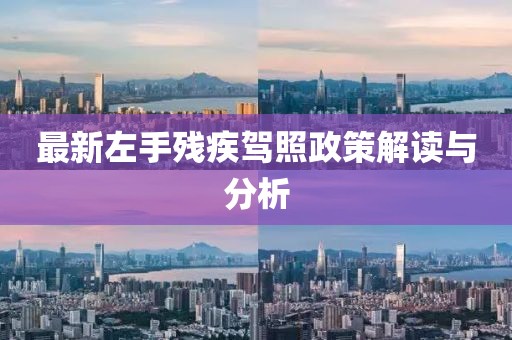 最新左手残疾驾照政策解读与分析